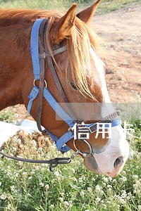 信用卡忘还8块钱逾期18天 信用卡忘还8块钱逾期18天