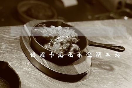 信用卡忘还乐逾期三天 信用卡忘还乐逾期三天