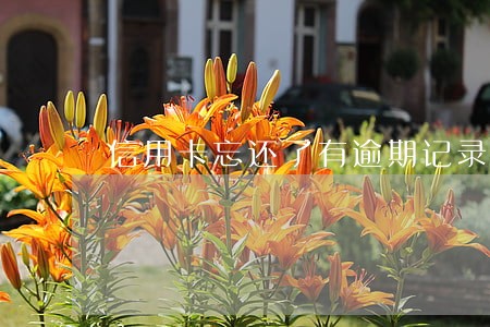 信用卡忘还了有逾期记录咋办