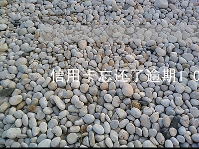 信用卡忘还了逾期10天