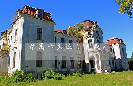 信用卡忘还了逾期2天 信用卡忘还了逾期2天