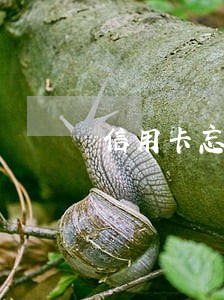 信用卡忘还了逾期2天没事吧 信用卡忘还了逾期2天没事吧