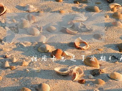 信用卡忘还了逾期4天怎么办 信用卡忘还了逾期4天怎么办