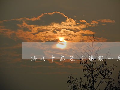 信用卡忘还了逾期一周打哪里电话