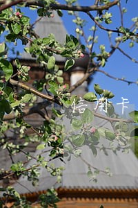 信用卡忘还了逾期七天会怎样 信用卡忘还了逾期七天会怎样