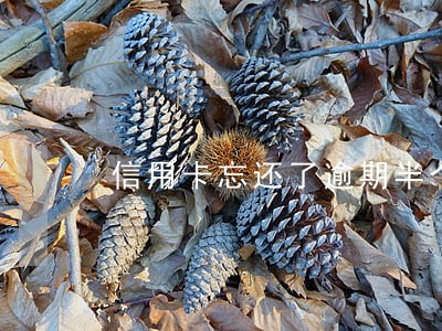 信用卡忘还了逾期半个月 信用卡忘还了逾期半个月