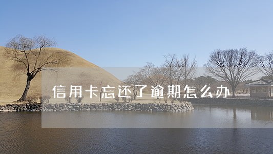 信用卡忘还了逾期怎么办 信用卡忘还了逾期怎么办