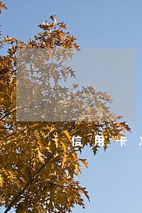 信用卡忘还了逾期扣多少钱 信用卡忘还了逾期扣多少钱