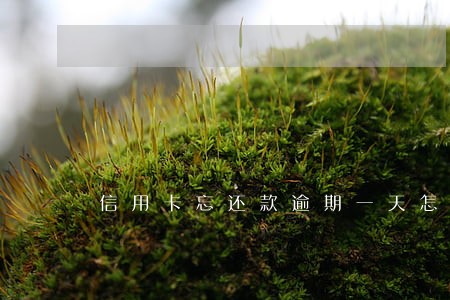 信用卡忘还款逾期一天怎么办