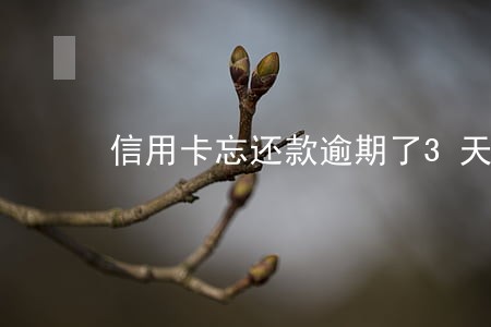 信用卡忘还款逾期了3天 信用卡忘还款逾期了3天