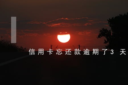 信用卡忘还款逾期了3天80元 信用卡忘还款逾期了3天80元