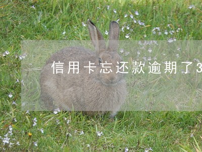 信用卡忘还款逾期了3天怎么办 信用卡忘还款逾期了3天怎么办