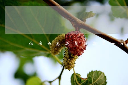 信用卡忘还款逾期了一次