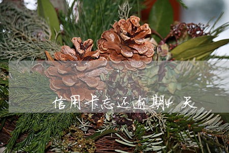信用卡忘还逾期4天