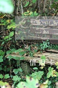 信用卡忘还逾期了10天 信用卡忘还逾期了10天