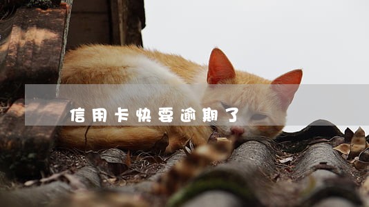 信用卡快要逾期了