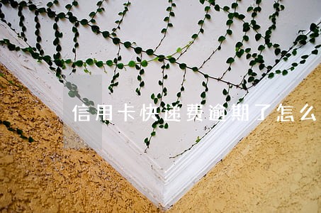 信用卡快递费逾期了怎么办 信用卡快递费逾期了怎么办