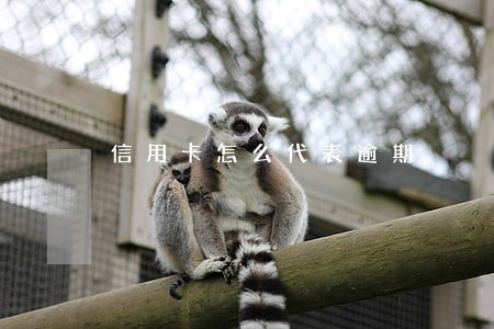 信用卡怎么代表逾期
