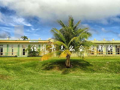信用卡怎么会逾期的