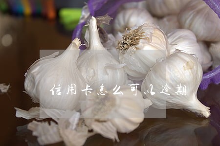 信用卡怎么可以逾期 信用卡怎么可以逾期