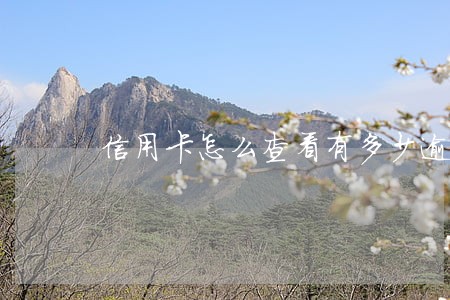 信用卡怎么查看有多少逾期