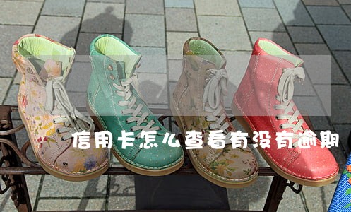 信用卡怎么查看有没有逾期 信用卡怎么查看有没有逾期