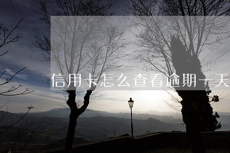 信用卡怎么查看逾期一天 信用卡怎么查看逾期一天