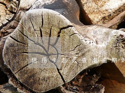 信用卡怎么查询逾期时间 信用卡怎么查询逾期时间