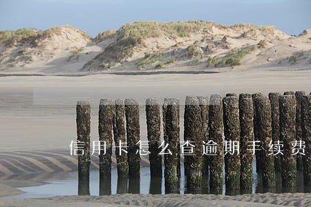 信用卡怎么查逾期手续费 信用卡怎么查逾期手续费