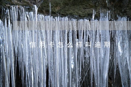 信用卡怎么样叫逾期