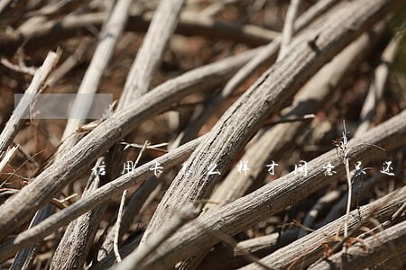 信用卡怎么样才同意只还本金