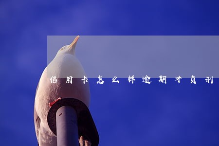 信用卡怎么样逾期才负刑事责任 信用卡怎么样逾期才负刑事责任