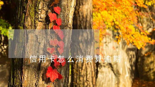 信用卡怎么消费算逾期