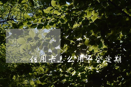 信用卡怎么用不会逾期