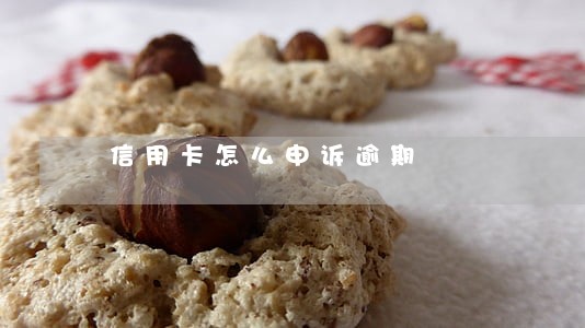 信用卡怎么申诉逾期 信用卡怎么申诉逾期