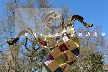 信用卡怎么申请取消逾期 信用卡怎么申请取消逾期