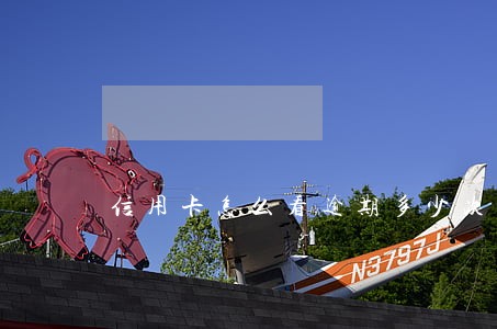 信用卡怎么看逾期多少次 信用卡怎么看逾期多少次