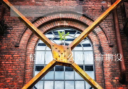 信用卡怎么知道逾期没 信用卡怎么知道逾期没