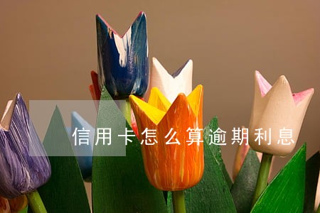 信用卡怎么算逾期利息