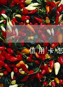 信用卡怎么计算逾期天数 信用卡怎么计算逾期天数
