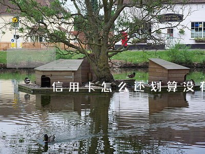 信用卡怎么还划算没有逾期