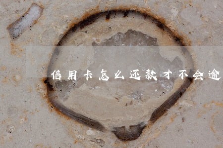 信用卡怎么还款才不会逾期 信用卡怎么还款才不会逾期