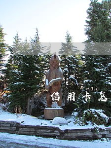 信用卡怎么还款永不逾期 信用卡怎么还款永不逾期