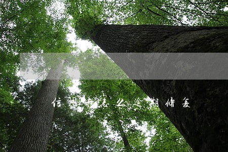 信用卡怎么逾期修复