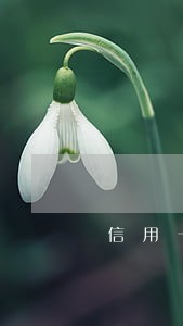 信用卡怎么逾期多久 信用卡怎么逾期多久