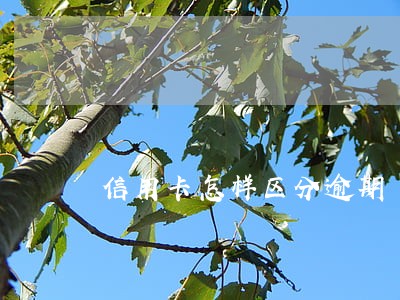 信用卡怎样区分逾期 信用卡怎样区分逾期