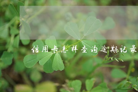 信用卡怎样查询逾期记录 信用卡怎样查询逾期记录
