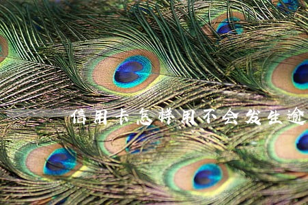 信用卡怎样用不会发生逾期 信用卡怎样用不会发生逾期