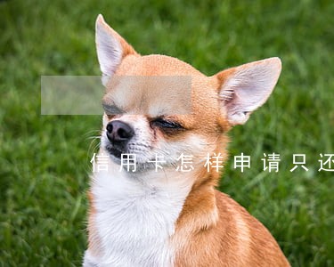 信用卡怎样申请只还本金 信用卡怎样申请只还本金