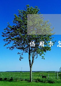 信用卡怎样算逾期日 信用卡怎样算逾期日